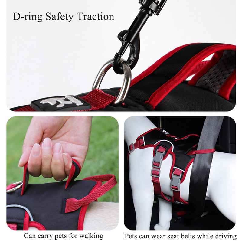 Geen Trek Hondentuig Buiten Wa - D Ring Strap recensie en prijs